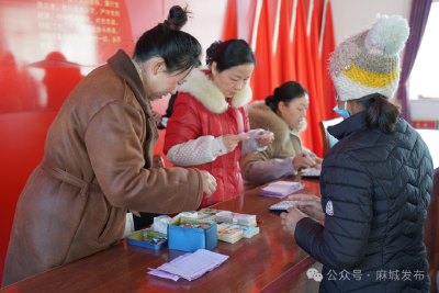 “企业 农户”十年同心：麻城菊田盛开“致富花”